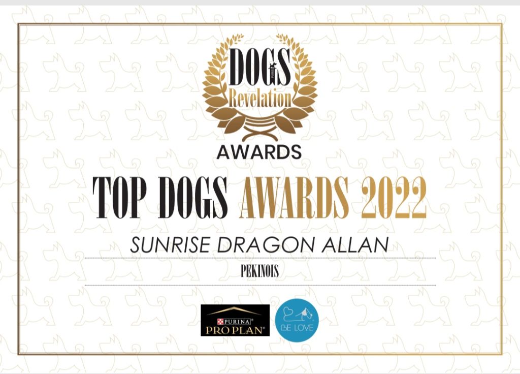 des princes des Cevennes - TOP DOG PEKINOIS ADULTE SUNRISE DRAGON ALLAN 2022